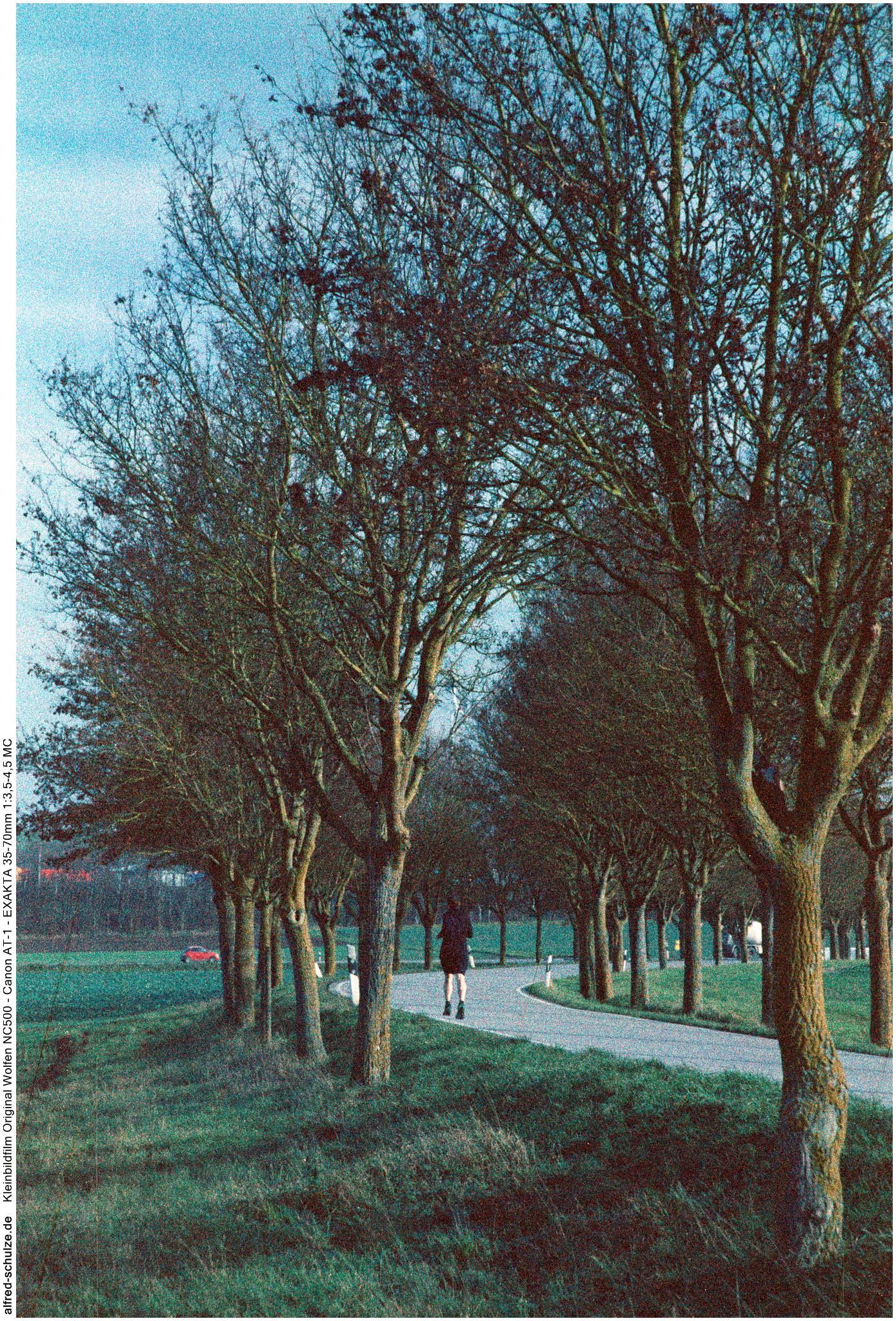 12.12.2025 Zwischen Freimersheim und Kirchheim Bolanden